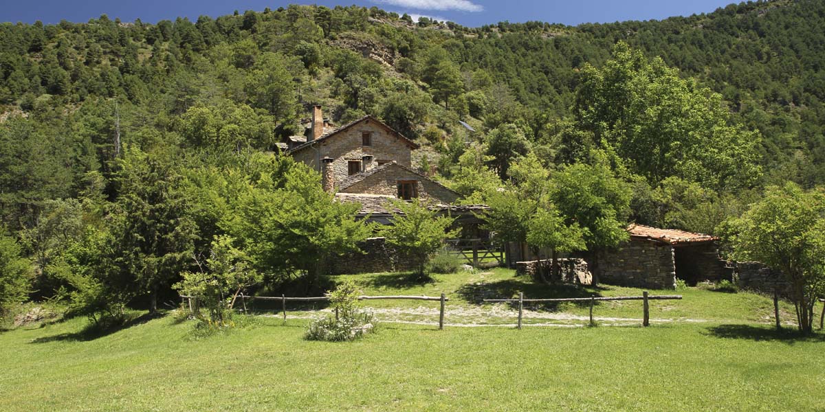 PEGATERA-inici-C99-1200X600px-300dpi